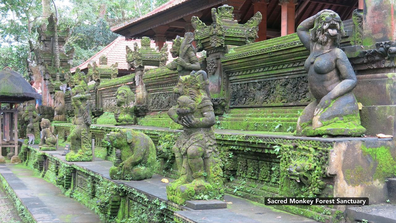 Zen Rooms Ubud Nyuh Kuning Exteriér fotografie